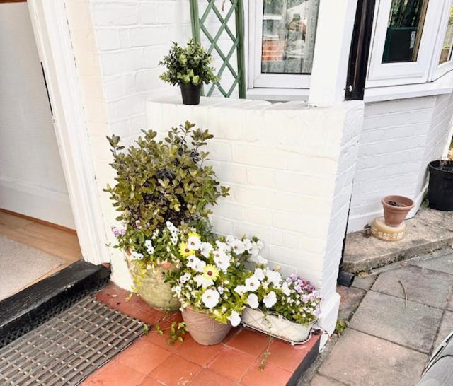 4 Bed House In Daneby Road,Se6 Villa Catford Exteriör bild